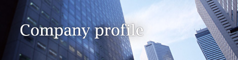 Company profile